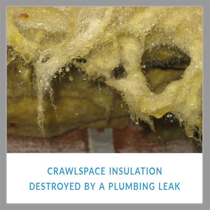 INSULATION CAN BE DESTROYED BY A SEWER AND DRAIN LEAK